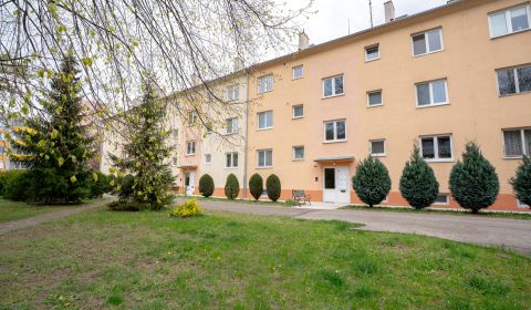 Kaufen 2-Zimmer-Wohnung, 2-Zimmer-Wohnung, Dlhé Hony, Trenčín, Slowake