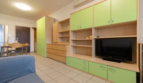 Mieten 2-Zimmer-Wohnung, 2-Zimmer-Wohnung, Šustekova, Bratislava - Pet