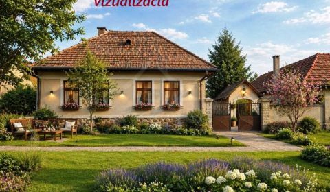 Kaufen Ferienhaus, Ferienhaus, Levice, Slowakei