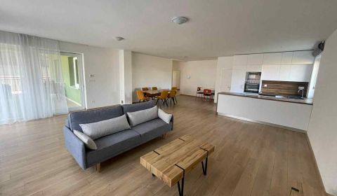 Kaufen Einfamilienhaus, Einfamilienhaus, Kynek, Nitra, Slowakei