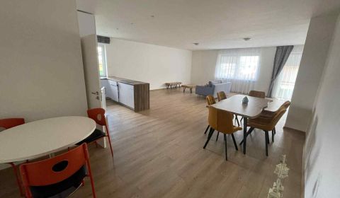 Kaufen Einfamilienhaus, Einfamilienhaus, Kynek, Nitra, Slowakei