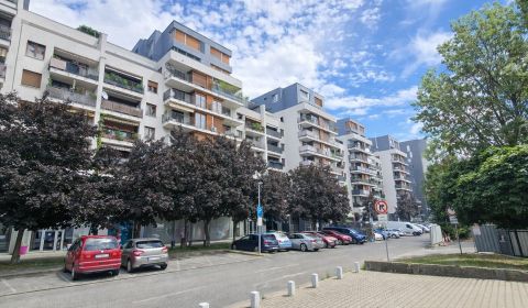 Kaufen 3-Zimmer-Wohnung, 3-Zimmer-Wohnung, Drieňová, Bratislava - Ruži