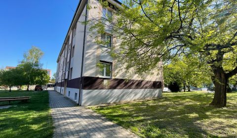Mieten 2-Zimmer-Wohnung, 2-Zimmer-Wohnung, Zornička, Galanta, Slowakei