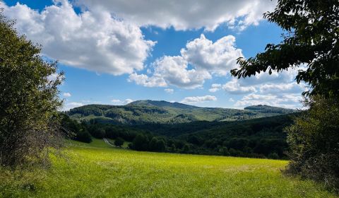 Kaufen landwirtsch. Grundstücke, landwirtsch. Grundstücke, Medzilaborc