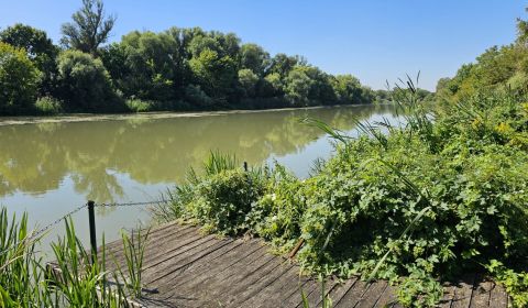 Kaufen Baugrund, Baugrund, Senec, Slowakei