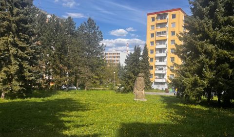 Kaufen 2-Zimmer-Wohnung, 2-Zimmer-Wohnung, Sekier, Zvolen, Slowakei