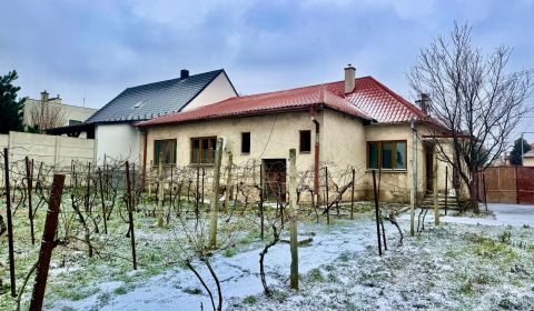Kaufen Einfamilienhaus, Einfamilienhaus, Hlohovec, Slowakei