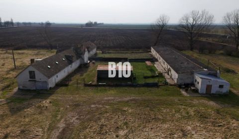 Kaufen Industrieräumlichkeiten, Industrieräumlichkeiten, Levice, Slowa