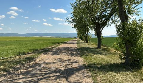 Kaufen landwirtsch. Grundstücke, landwirtsch. Grundstücke, Topoľčany, 