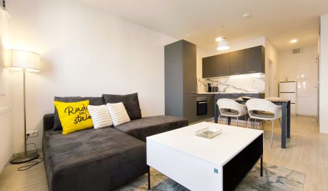 Mieten 1-Zimmer-Wohnung, 1-Zimmer-Wohnung, Hraničná, Bratislava - Ruži