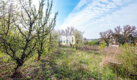 Kaufen Baugrund, Baugrund, Nitra, Slowakei
