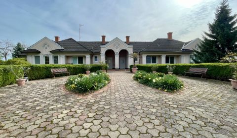Kaufen Einfamilienhaus, Einfamilienhaus, Dunajská Streda, Slowakei