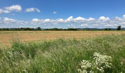 Kaufen Baugrund, Baugrund, Topoľčany, Slowakei