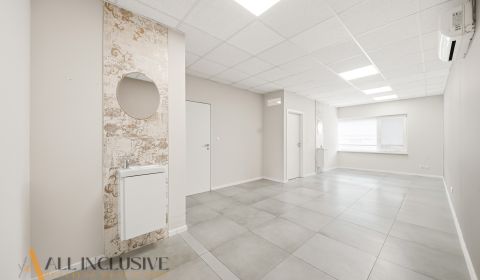 Mieten Geschäftsräumlichkeiten, Geschäftsräumlichkeiten, Obrancov mier