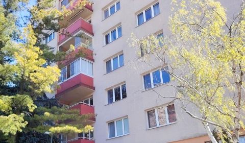Kaufen 2-Zimmer-Wohnung, 2-Zimmer-Wohnung, Bratislava - Nové Mesto, Sl