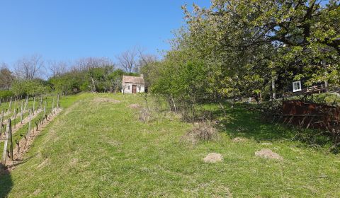 Kaufen Baugrundstück Erholung, Baugrundstück Erholung, Malacky, Slowak