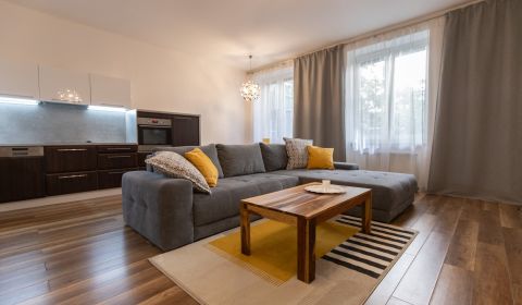 Mieten 2-Zimmer-Wohnung, 2-Zimmer-Wohnung, Dobrovičova, Bratislava - S