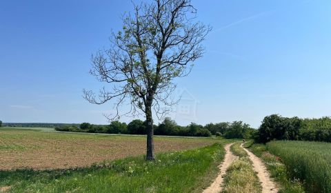Kaufen landwirtsch. Grundstücke, landwirtsch. Grundstücke, Senec, Slow