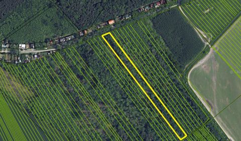 Kaufen landwirtsch. Grundstücke, landwirtsch. Grundstücke, Malacky, Sl