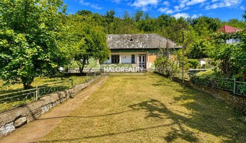 Kaufen Einfamilienhaus, Levice, Slowakei
