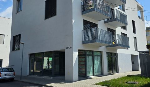 Mieten 3-Zimmer-Wohnung, 3-Zimmer-Wohnung, Mojmírova, Piešťany, Slowak