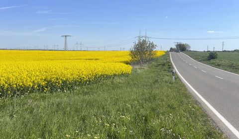 Kaufen landwirtsch. Grundstücke, landwirtsch. Grundstücke, Trnava, Slo