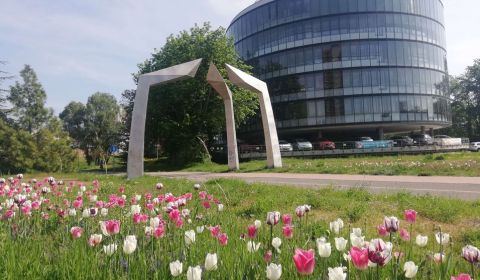 Büros, Röntgenova, zu vermieten, Bratislava - Petržalka, 178m2