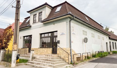 Mieten Geschäftsräumlichkeiten, Geschäftsräumlichkeiten, Kubranská, Tr