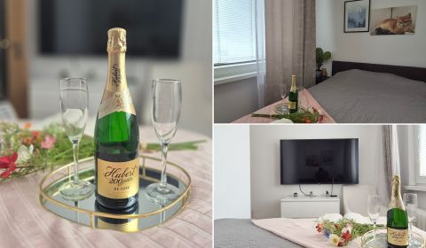 Kaufen 1-Zimmer-Wohnung, 1-Zimmer-Wohnung, Drobného 24, Bratislava - D