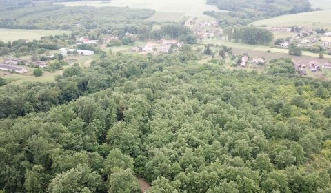 Kaufen landwirtsch. Grundstücke, landwirtsch. Grundstücke, Veľký Krtíš