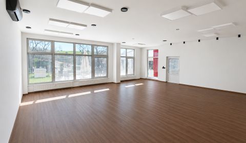Mieten Geschäftsräumlichkeiten, Geschäftsräumlichkeiten, Rudohorská, S