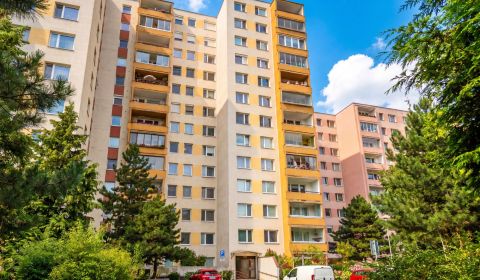 Kaufen 3-Zimmer-Wohnung, 3-Zimmer-Wohnung, Jégeho, Bratislava - Ružino