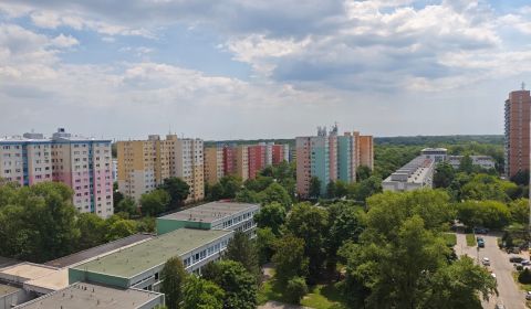 Mieten 1-Zimmer-Wohnung, 1-Zimmer-Wohnung, Lachova, Bratislava - Petrž