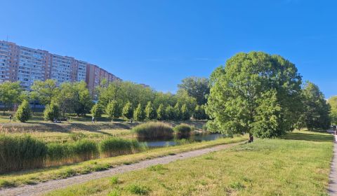 Mieten 1-Zimmer-Wohnung, 1-Zimmer-Wohnung, Lachova, Bratislava - Petrž