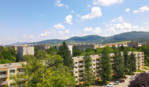 Kaufen 2-Zimmer-Wohnung, 2-Zimmer-Wohnung, Trenčianska, Ilava, Slowake