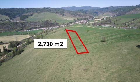 Kaufen landwirtsch. Grundstücke, landwirtsch. Grundstücke, Brezno, Slo