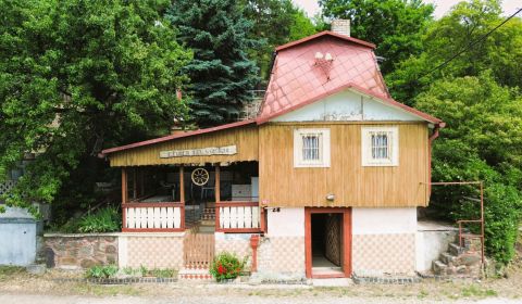 Kaufen Ferienhaus, Ferienhaus, Michalovce, Slowakei