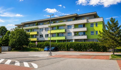 Kaufen 3-Zimmer-Wohnung, 3-Zimmer-Wohnung, Zelenečská 2, Trnava, Slowa