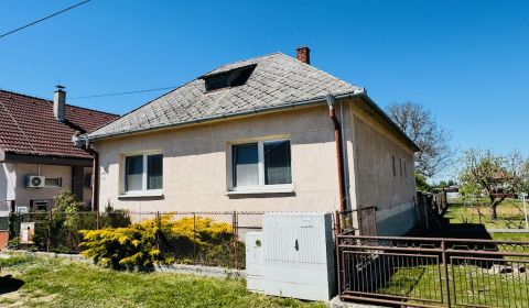 Kaufen Einfamilienhaus, Einfamilienhaus, Partizánske, Slowakei