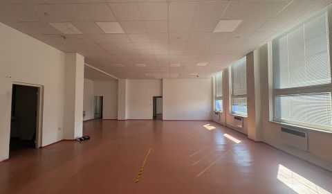 Mieten Geschäftsräumlichkeiten, Geschäftsräumlichkeiten, Hattalova, Br