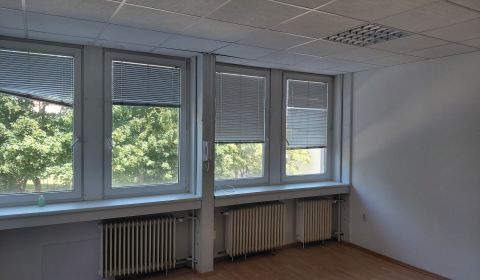 Mieten Büros, Büros, Pluhová, Bratislava - Nové Mesto, Slowakei