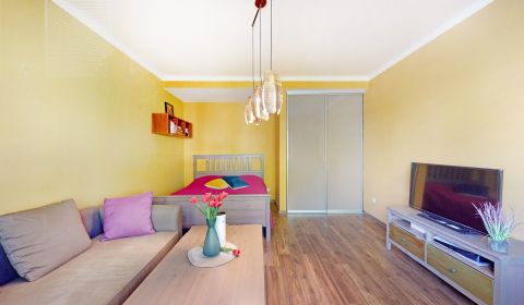 Mieten 1-Zimmer-Wohnung, 1-Zimmer-Wohnung, Trenčianska, Bratislava - R