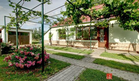 Kaufen Einfamilienhaus, Galanta, Slowakei