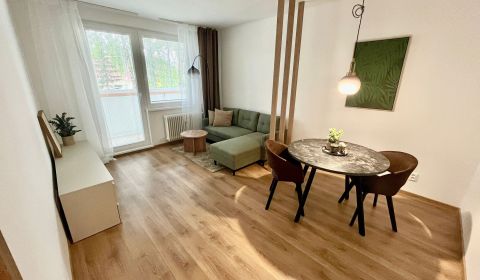 Mieten 2-Zimmer-Wohnung, 2-Zimmer-Wohnung, Robotnícka, Senica, Slowake
