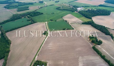 Kaufen Baugrund, Baugrund, Dunajská Streda, Slowakei