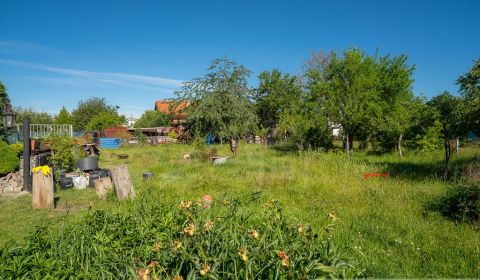 Kaufen Garten, Garten, Senec, Slowakei
