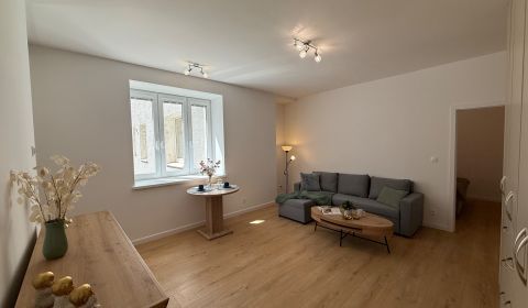 Mieten 2-Zimmer-Wohnung, 2-Zimmer-Wohnung, Prievozská, Bratislava - Ru