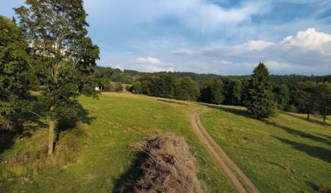 Kaufen landwirtsch. Grundstücke, landwirtsch. Grundstücke, Detva, Slow