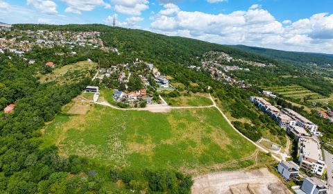 Kaufen Baugrund, Baugrund, Frankovská, Bratislava - Nové Mesto, Slowak