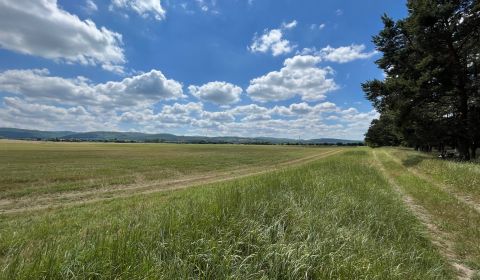 Kaufen Garten, Garten, Malacky, Slowakei